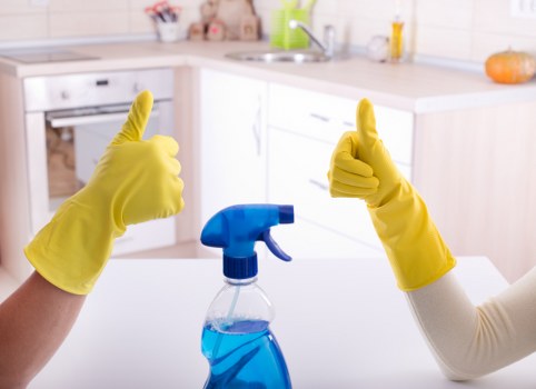 Booking and quotation documents for a cleaning appointment