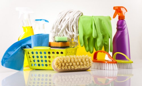 Regular cleaning service for a home in Enfield with careful attention to detail