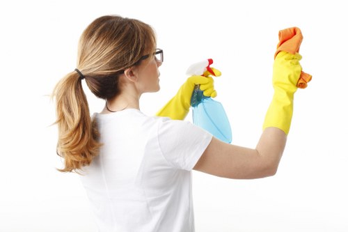 Professional exterior cleaning for brick and render in Enfield