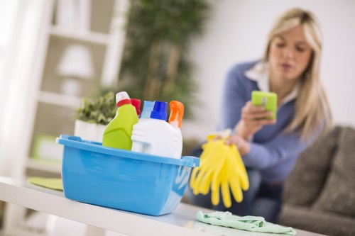 Kitchen and bathroom deep cleaning detail