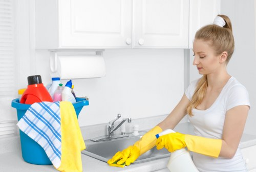 Domestic cleaner refreshing a bathroom in Enfield