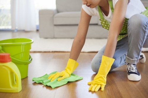 Rug cleaning for residential and commercial properties in Enfield