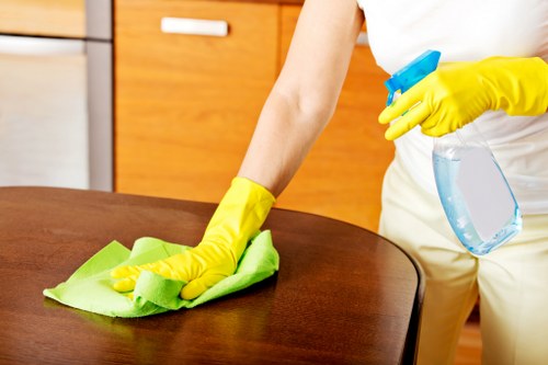 Deep kitchen cleaning included in a tenancy clean
